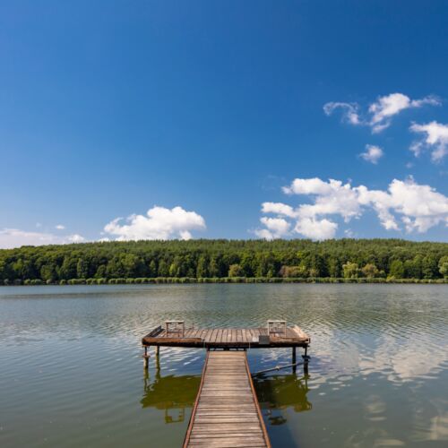 Jenői-tó | Diósjenő