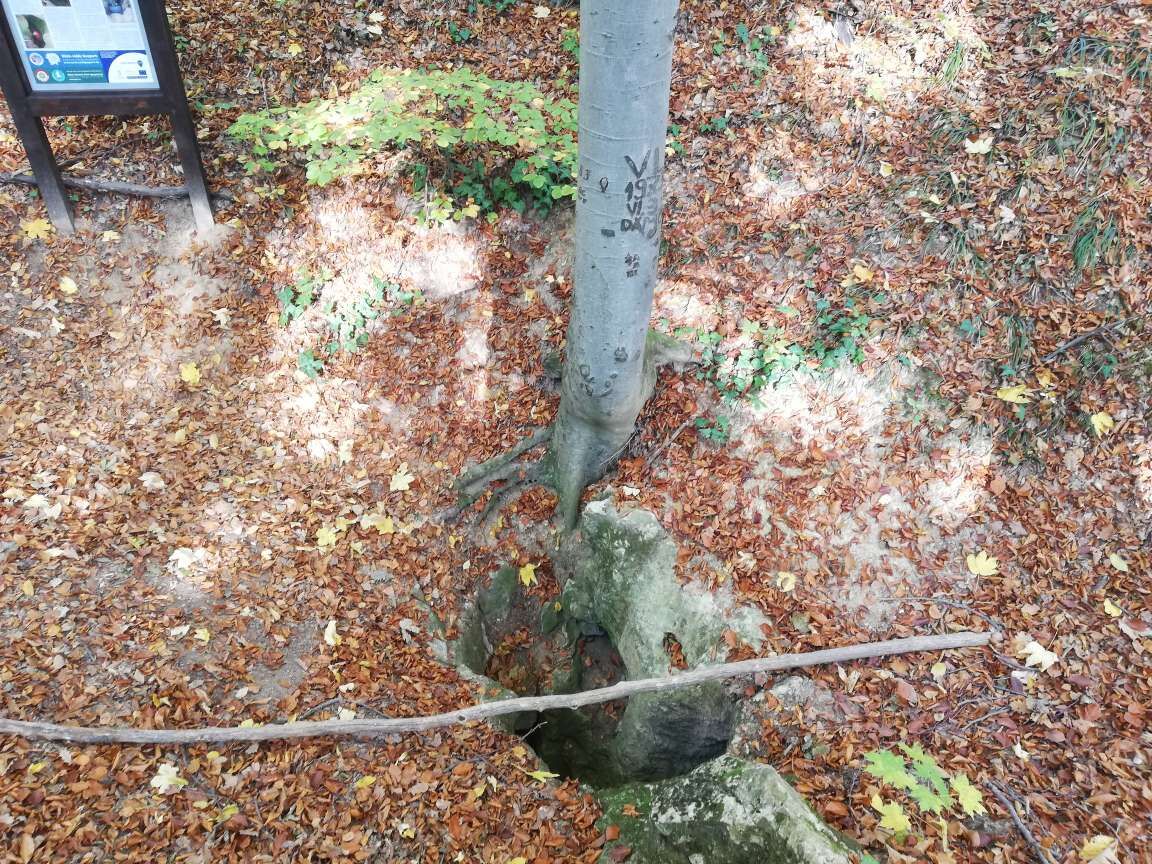 BorsodAbaújZemplén megye látnivalók 713 ajánlat véleményekkel 5