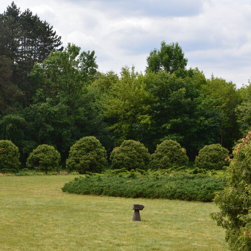 Gödöllői Arbo-Park (Gödöllői Arborétum) | Gödöllő