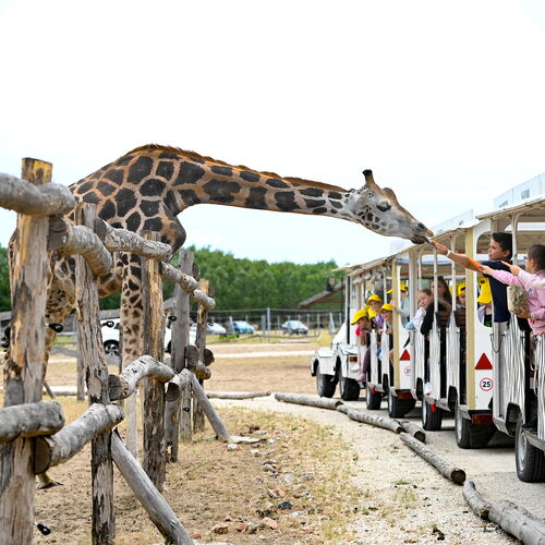 Autós Szafari Park