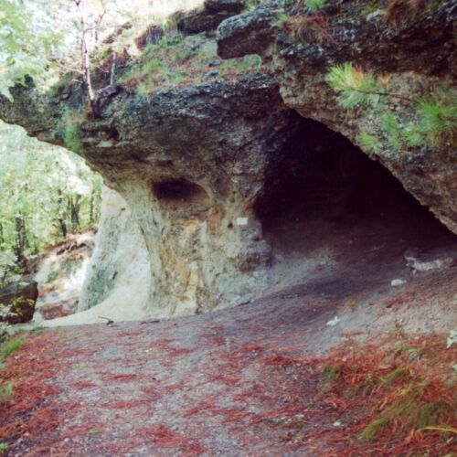 Vadlánlik barlang