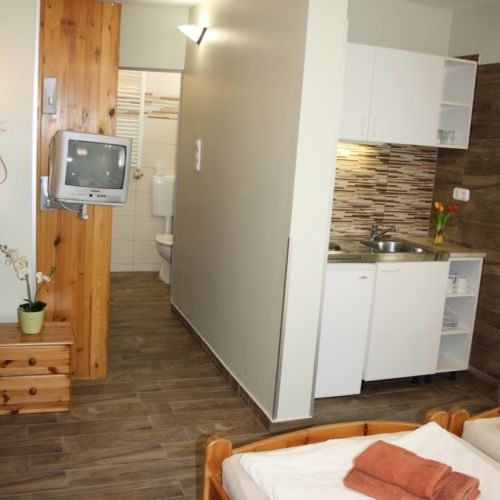 Apartament 3-osobowy na parterze Studio z 1 pomieszczeniem sypialnianym (możliwa dostawka)