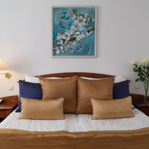 Camera dubla standard lCD TV