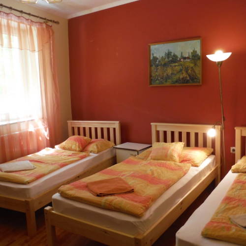 Camera tripla standard cu aer conditionat (se poate solicita pat suplimentar)