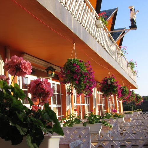 Camera cvadrupla standard