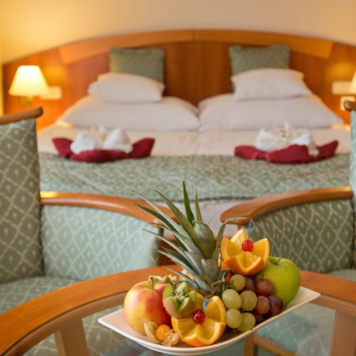 Camera dubla standard