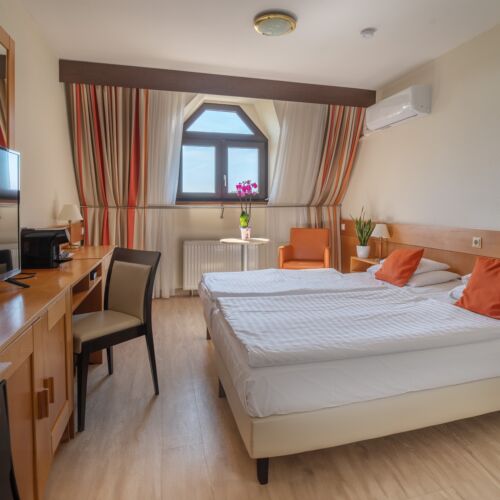 Pokój 1-osobowy Standard z łazienką