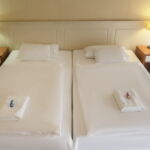 Economy Standard soba sa dva odvojena kreveta (za 2 osoba(e))