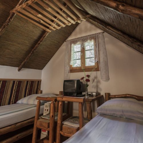 Pokój 3-osobowy Standard z widokiem na las