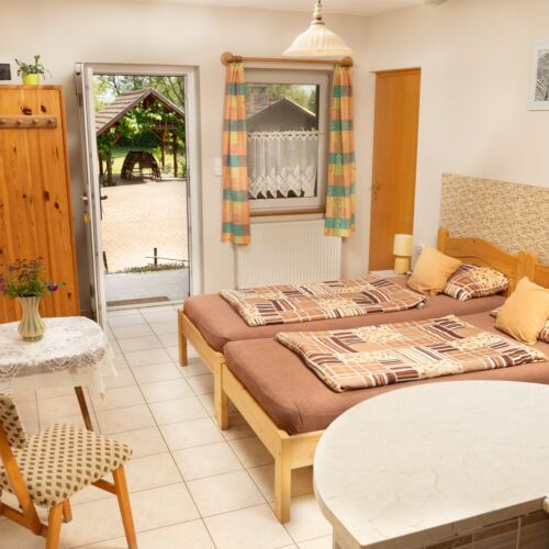 Camera twin cu aer condiționat cu panoramă