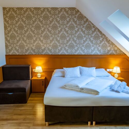 Camera twin cu aer condiționat (se poate solicita pat suplimentar)