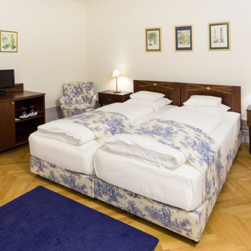 Camera twin classic (se poate solicita pat suplimentar)