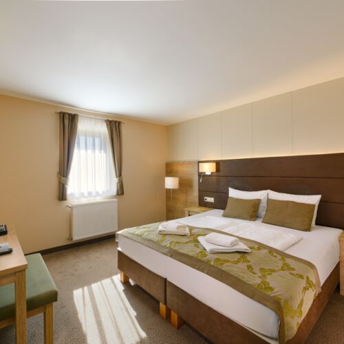 Camera dubla standard (se poate solicita pat suplimentar)