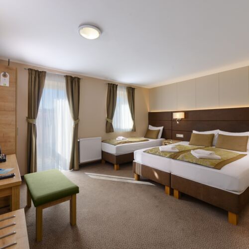 Camera tripla standard