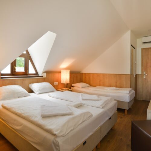 Ground Floor Family Triple Room