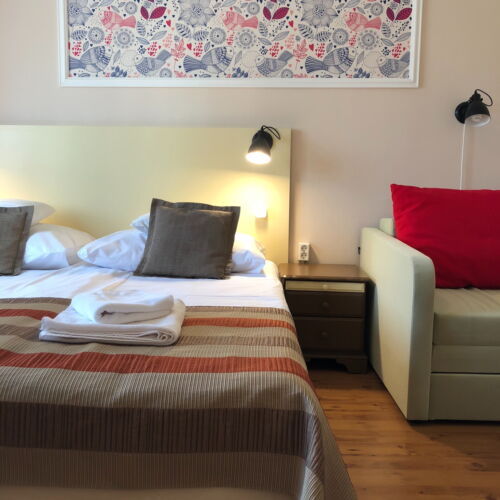 Camera dubla standard