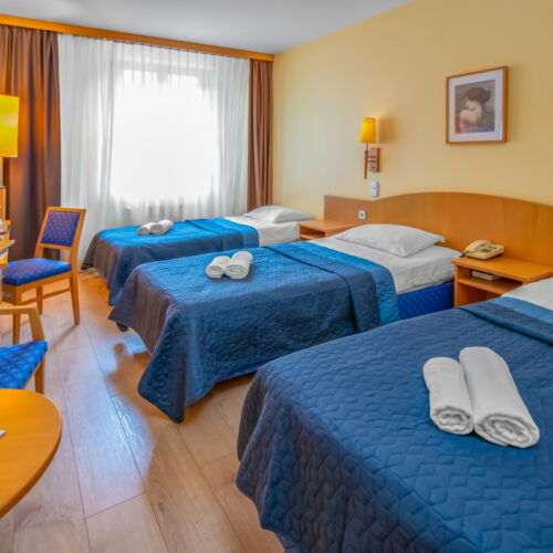 Standard Pokoj pro 3 os. na poschodí