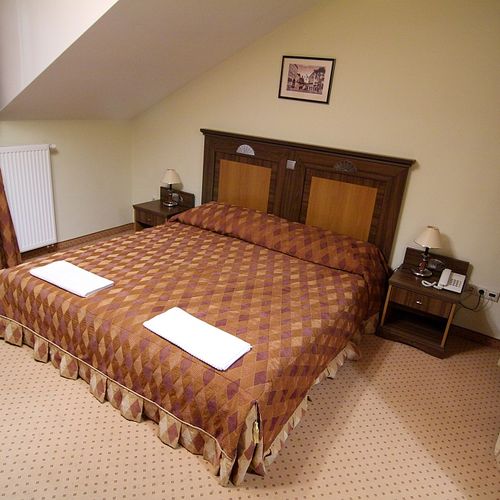 Camera dubla standard