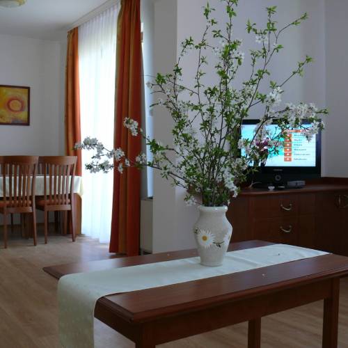 Comfort Premium 1-Room Apartment for 2 Persons (extra bed available)