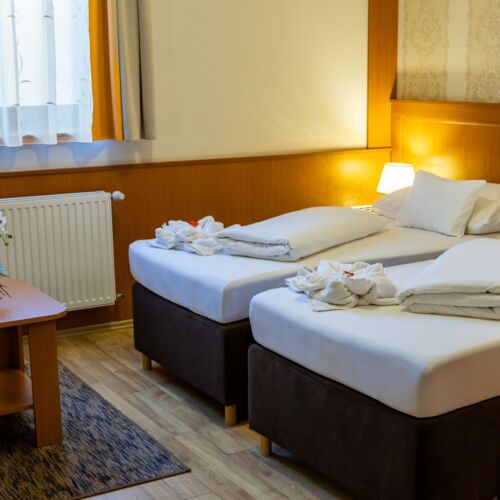 Camera twin cu aer condiționat