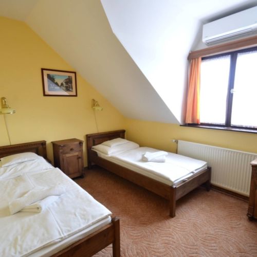 Camera twin standard Plus