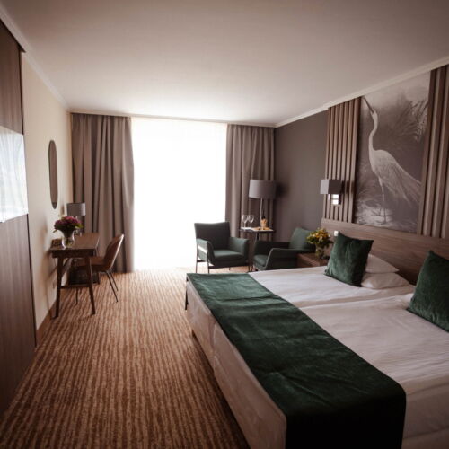 Camera twin premium (se poate solicita pat suplimentar)