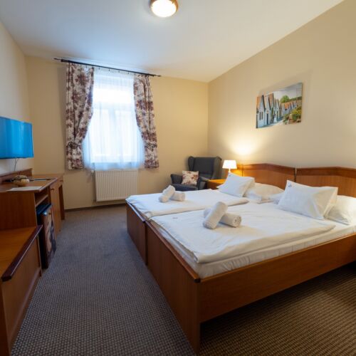 Camera twin standard cu aer condiționat