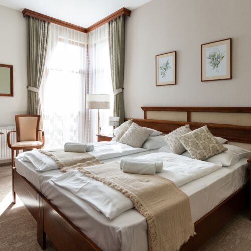 Camera twin (se poate solicita pat suplimentar)