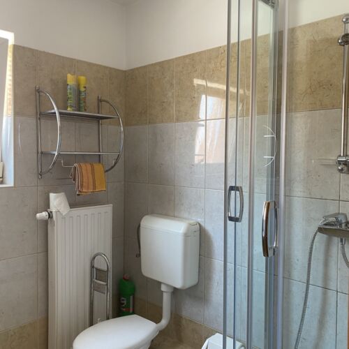 Apartament 2-osobowy Standard z tarasem z 1 pomieszczeniem sypialnianym