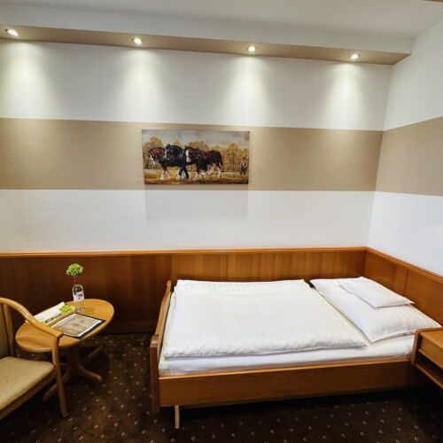 Pokój 1-osobowy Business (możliwa dostawka)