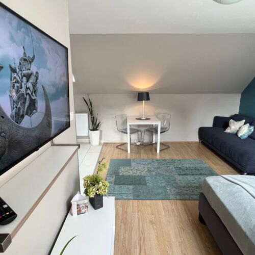 Apartament lux cu 1 camera pentru 2 pers. (se poate solicita pat suplimentar)