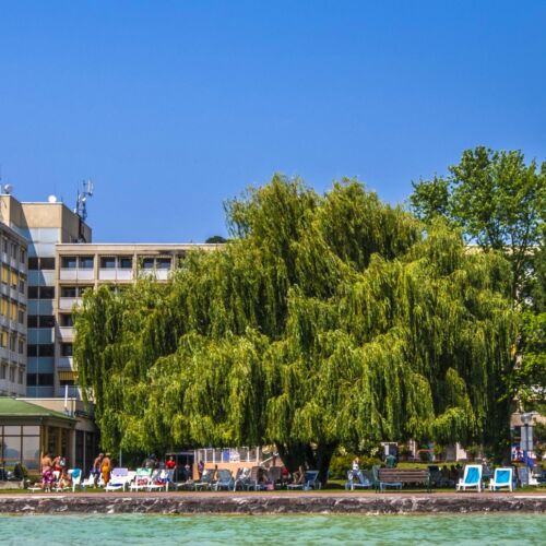 Camera twin cu aer conditionat cu vedere spre gradina