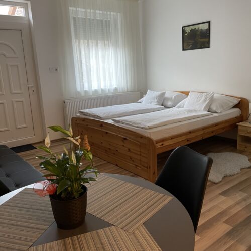 Apartament 2-osobowy z klimatyzacją z widokiem na ogród z 1 pomieszczeniem sypialnianym (możliwa dostawka)