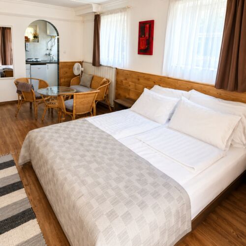Apartament studio la parter cu 1 camera pentru 3 pers.