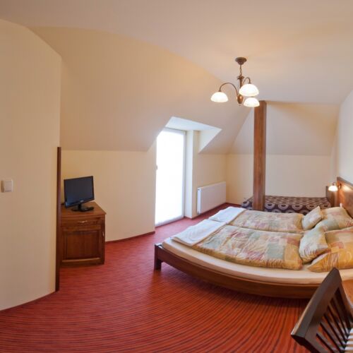 Camera dubla standard