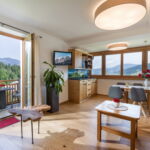 Mountain View 1-Room Balcony Apartment for 2 Persons (extra beds available)