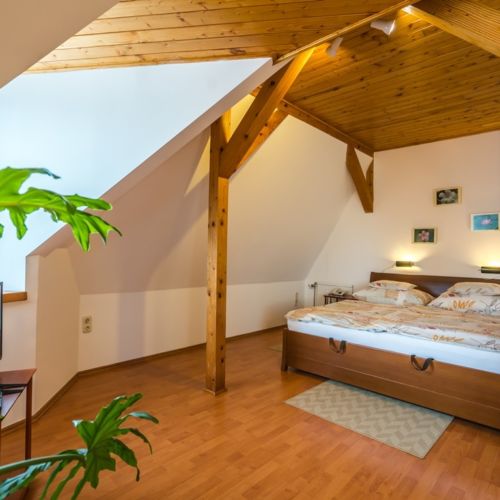 Deluxe Mountain View 1-Room Apartment for 2 Persons