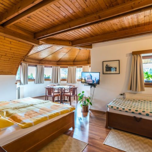 Panoramic 1-Room Family Suite for 4 Persons