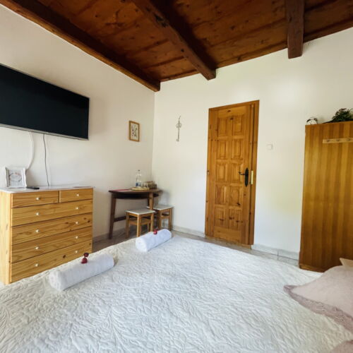 Camera dubla standard