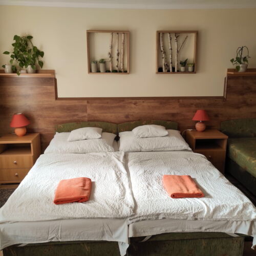 Classic 1-Room Family Apartment for 6 Persons