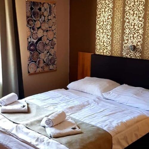 Camera dubla standard