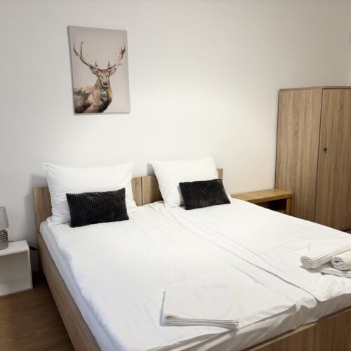 Apartament standard studio cu 1 camera pentru 2 pers.