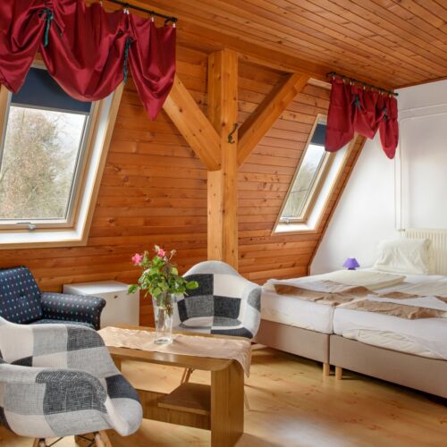 Camera dubla standard cu vedere spre munte