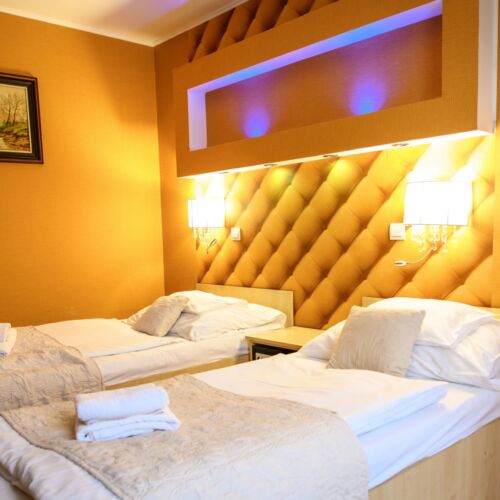 Executive Twin Room