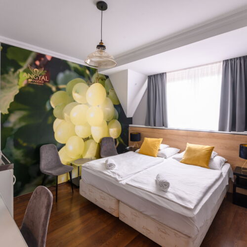 Apartament cu aer condiționat cu 1 camera pentru 2 pers.