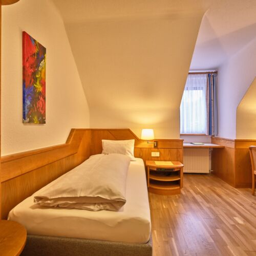 Einzelzimmer mit Lcd/Plazma Tv und Dusche