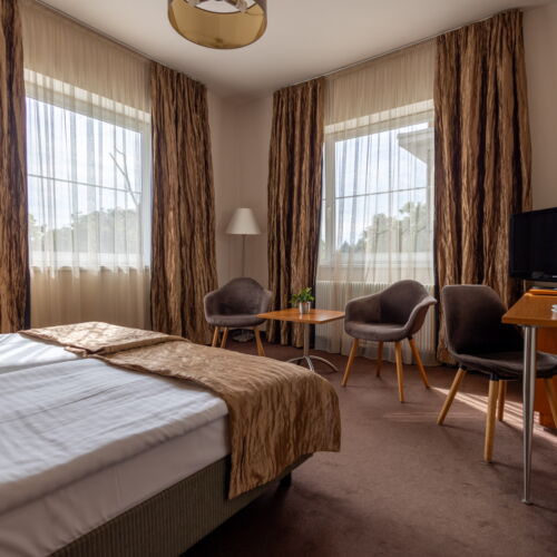 Camera twin classic cu vedere spre oraș