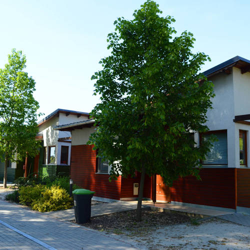 Apartament 6-osobowy Thermal z 3 pomieszczeniami sypialnianymi