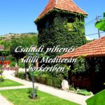 Apartament standard la parter cu 1 camera pentru 6 pers. (se poate solicita pat suplimentar)