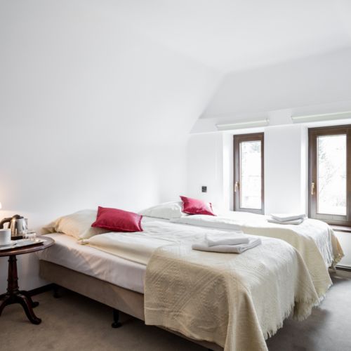 Pokój 2-osobowy na poddaszu z widokiem na góry